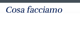Cosa facciamo